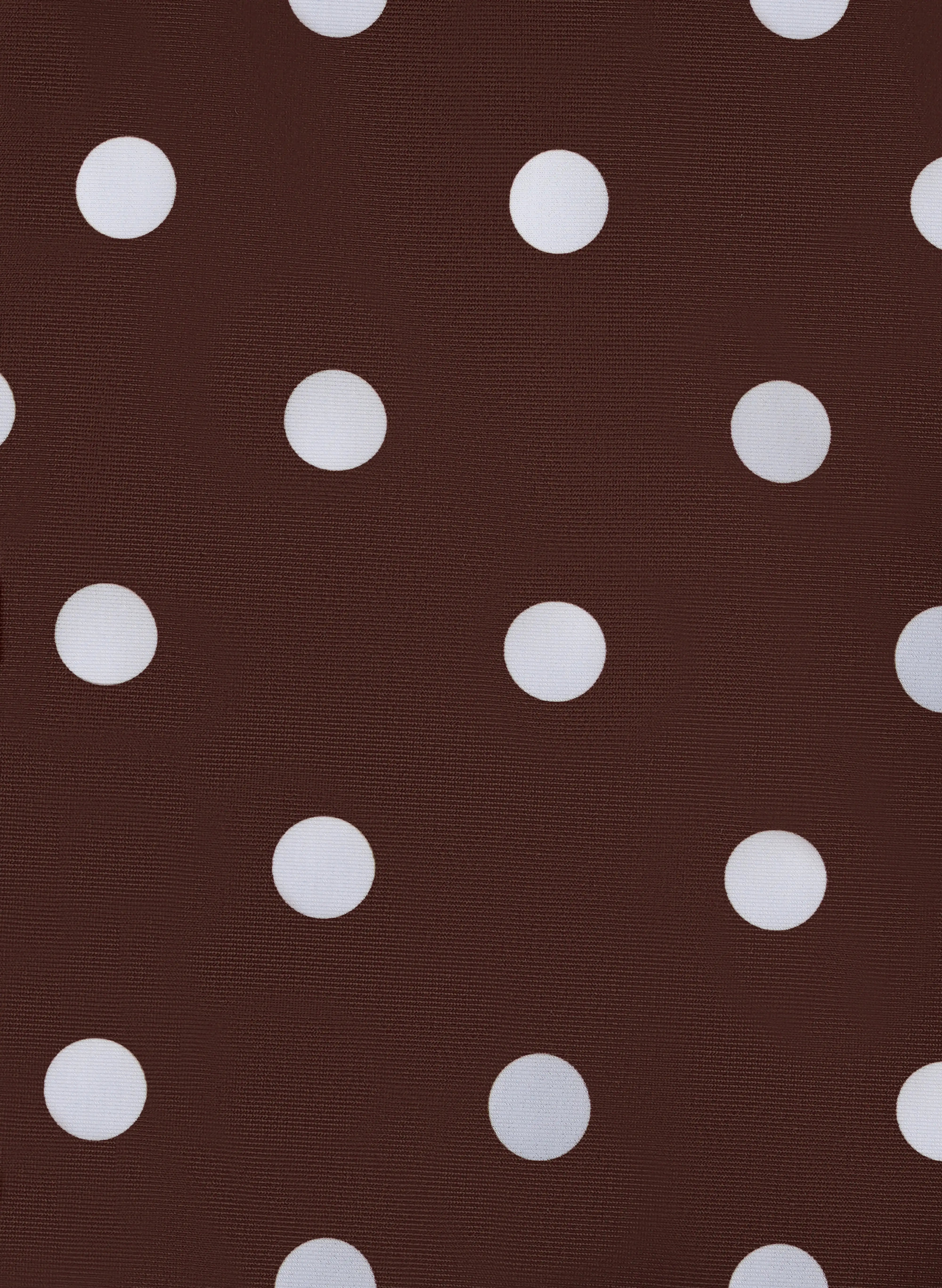 Polka Dot High Cut Bikini-Influencer select